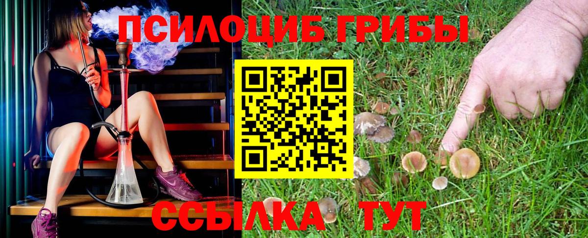 Галлюциногенные грибы Psilocybe  Вход с VPN  хочу наркоту  Россия 