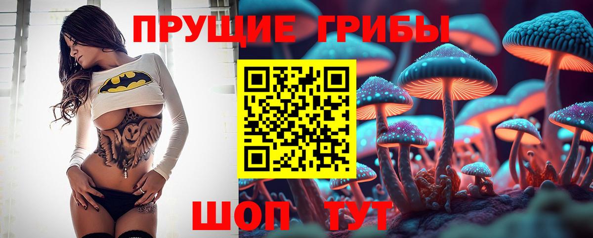 Псилоцибиновые грибы Magic Shrooms Россия